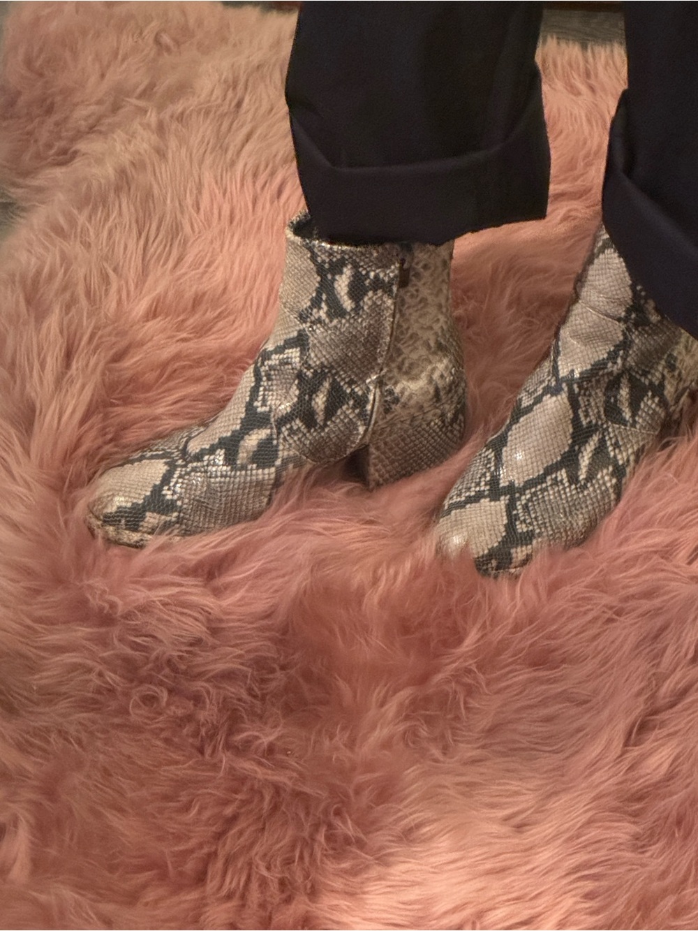 Python Print Ankle Boots in Beige and Black - Picture 2 of 4